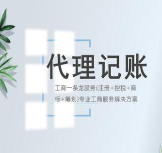 深圳企業稅審